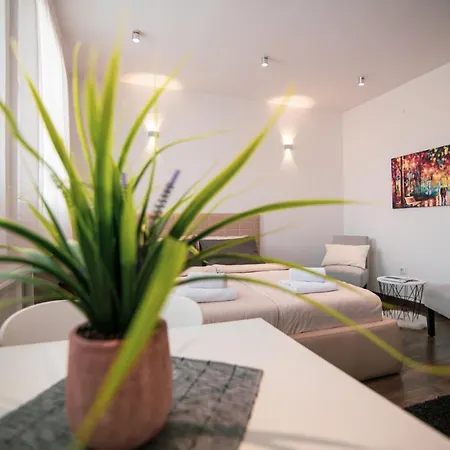 Apartment 5 Star